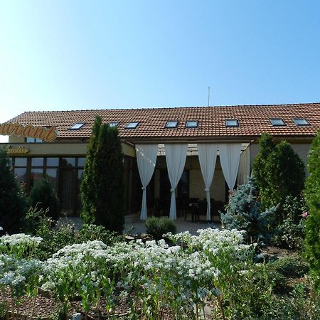 Anette Resort & Spa Covaci Exterior foto